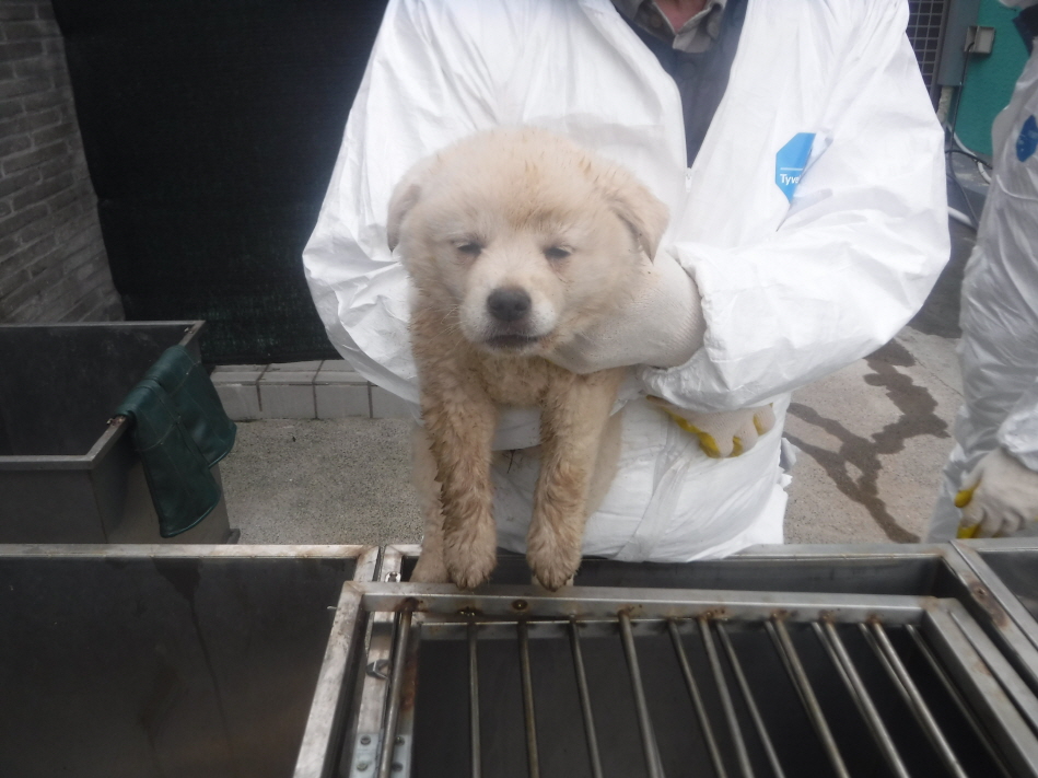 제주 동물보호센터_450650202300863